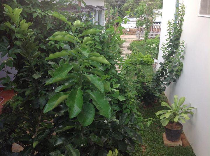 Manh Duyen Garden Homestay Phú Quốc Exterior foto