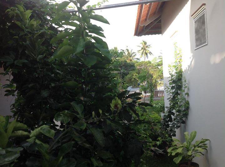 Manh Duyen Garden Homestay Phú Quốc Exterior foto