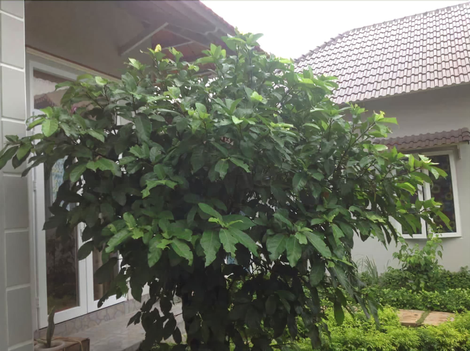 Manh Duyen Garden Homestay Phú Quốc Exterior foto